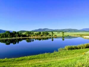 picture of a lake with green landscape in the foreground and mountains in the background