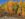 yellow birch trees in aspen colorado - resistance and support article
